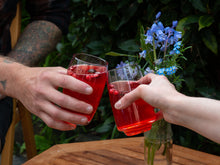 Load image into Gallery viewer, Intro to Wild Fermented Sodas