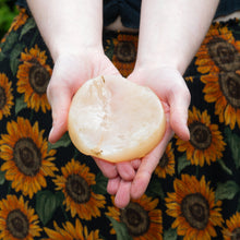 Load image into Gallery viewer, A person holds a kombucha scoby in both hands against a dark fabric with a bright yellow sunflower print.