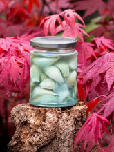 Load image into Gallery viewer, Jar oflacto-fermented garlic on a wooden stump with red maple leaves in the background
Details