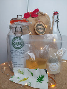 Kombucha Kit