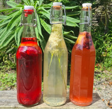 Load image into Gallery viewer, Intro to Wild Fermented Sodas
