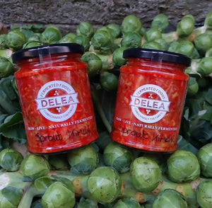 FESTIVE FERMENT WORKSHOP