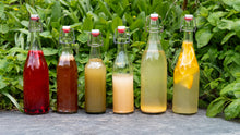 Load image into Gallery viewer, Intro to Wild Fermented Sodas
